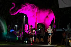 BIB: 
                            <button type="button" onclick="openModal(26530661)" class="btn btn-primary btn-sm float-right btn-popup" data-toggle="modal" data-target=".modal-high-quality">
                        <i class="fas fa-shopping-cart"></i> Add to Cart
                    </button>
                                            <button type="button" onclick="isThisMe(26530661, true)" class="btn btn-success btn-sm float-right btn-popup btn-isme hidden" data-toggle="tooltip" data-placement="bottom" title="นี่คือรูปของคุณใช่ไหม คลิกที่นี่เพื่อเอาเข้าอัลบั้ม">
                        <i class="fas fa-plus"></i> Add to album
                    </button>
                    <button type="button" onclick="isThisMe(26530661, false)" class="btn btn-warning btn-sm float-right btn-popup btn-isnotme hidden">
                        <i class="fas fa-ban"></i> Remove from album
                    </button>